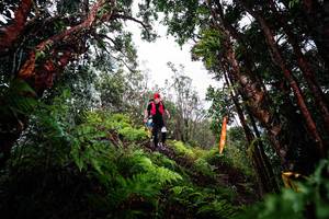 BIB: 
                            <button type="button" onclick="openModal(26203569)" class="btn btn-primary btn-sm float-right btn-popup" data-toggle="modal" data-target=".modal-high-quality">
                        <i class="fas fa-shopping-cart"></i> Add to Cart
                    </button>
                                            <button type="button" onclick="isThisMe(26203569, true)" class="btn btn-success btn-sm float-right btn-popup btn-isme hidden" data-toggle="tooltip" data-placement="bottom" title="นี่คือรูปของคุณใช่ไหม คลิกที่นี่เพื่อเอาเข้าอัลบั้ม">
                        <i class="fas fa-plus"></i> Add to album
                    </button>
                    <button type="button" onclick="isThisMe(26203569, false)" class="btn btn-warning btn-sm float-right btn-popup btn-isnotme hidden">
                        <i class="fas fa-ban"></i> Remove from album
                    </button>